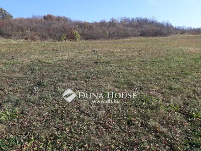 Eladó telek Mogyoród 67183 nm