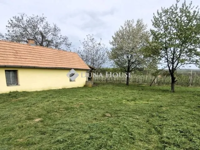Eladó mezőgazdasági ingatlan Mozsgó 40 nm