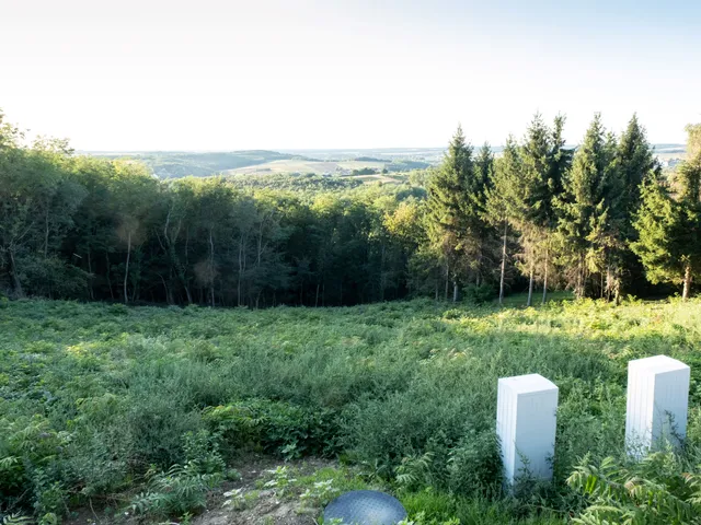 Eladó telek Zalaegerszeg, Szenterzsébethegy 1567 nm