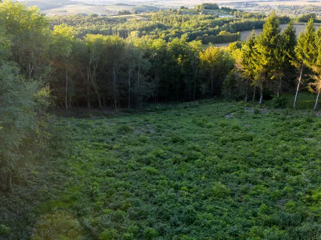 Eladó telek Zalaegerszeg, Szenterzsébethegy, .. 1567 nm