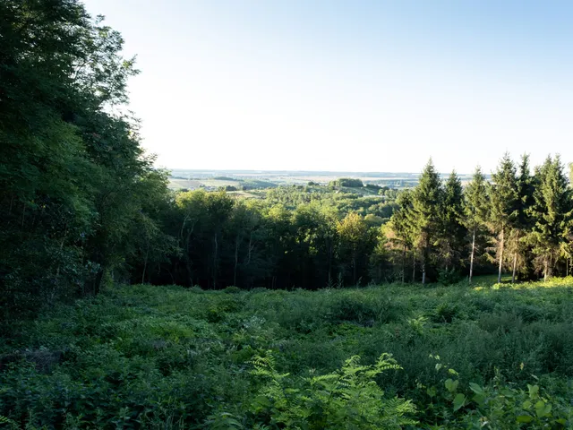 Eladó telek Zalaegerszeg, Szenterzsébethegy 1607 nm