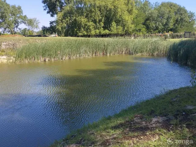 Eladó mezőgazdasági ingatlan Balástya 105 nm