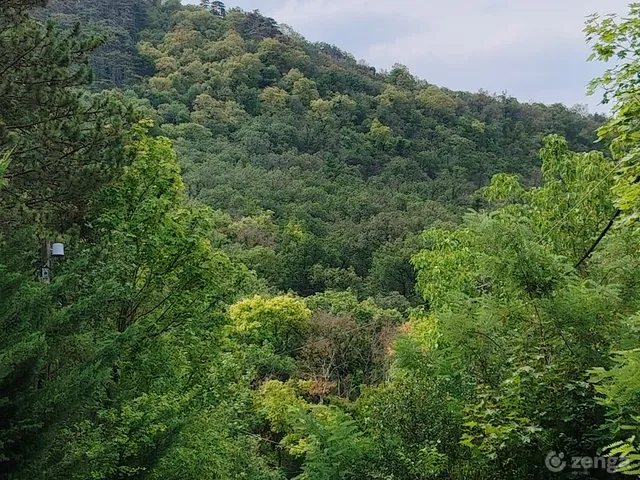 Eladó telek Budakeszi, Nagyszénászug 740 nm