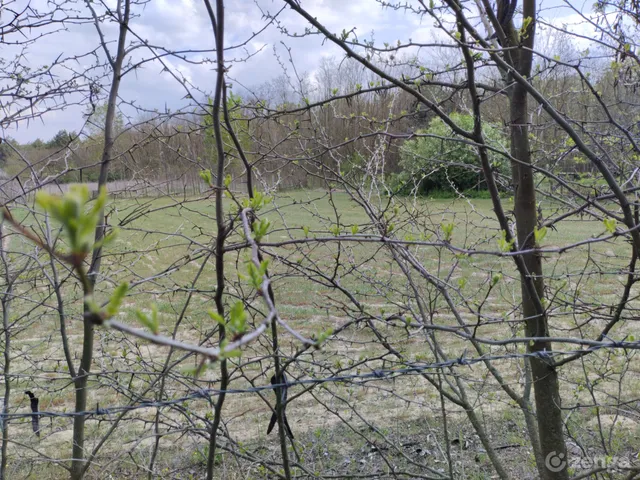 Eladó telek Kecskemét 3003 nm