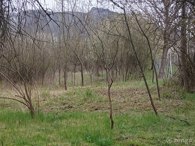 Eladó telek Bélapátfalva 1300 nm