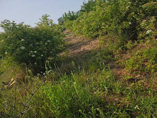 Eladó telek Kőszárhegy, Kazinczy utca 1050 nm