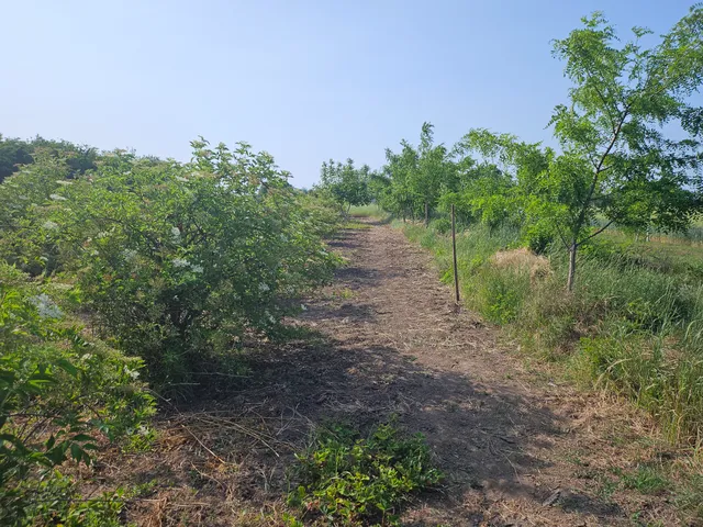 Eladó telek Kőszárhegy, Kazinczy utca 1050 nm