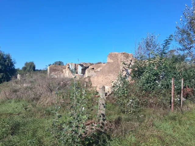 Eladó ház Nyírmihálydi 159 nm