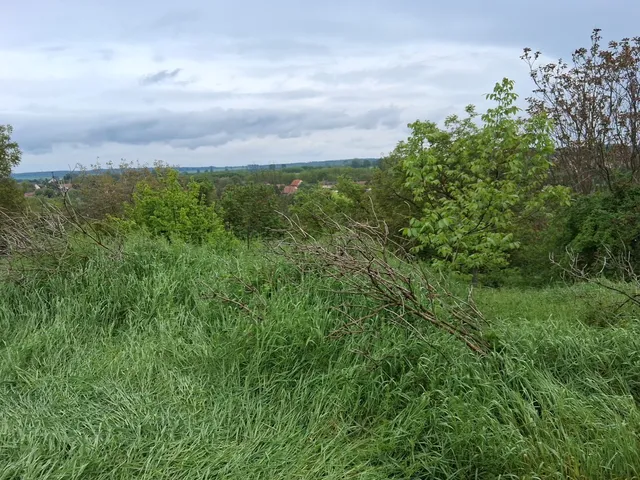 Eladó ház Ecséd, Táncsics Mihály utca 19. 87 nm