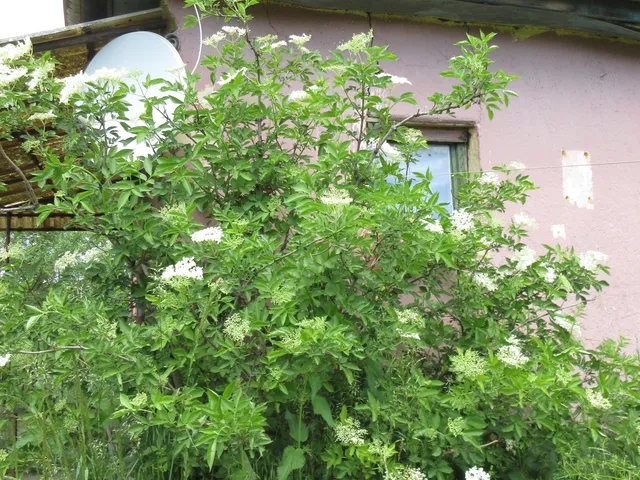 Eladó ház Nagylók, Vörösmarty utca 9. 65 nm