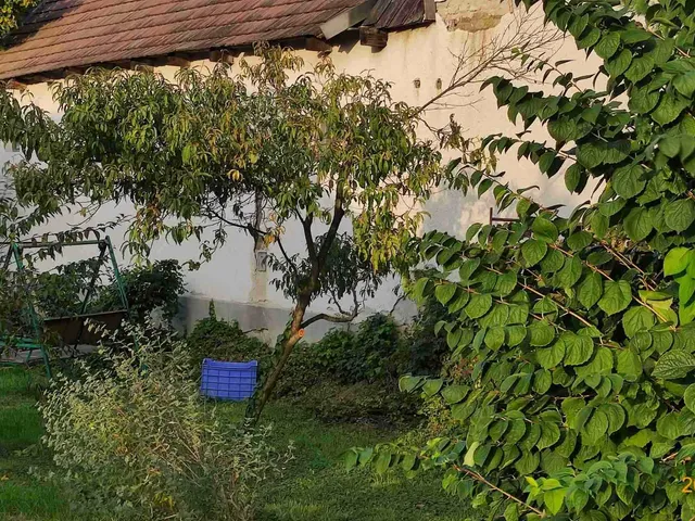 Eladó ház Őrhalom, Rákóczi fejedelem út 16 111 nm