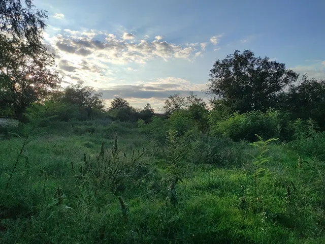 Eladó telek Szarvas, Martinovics utca 62. 1454 nm
