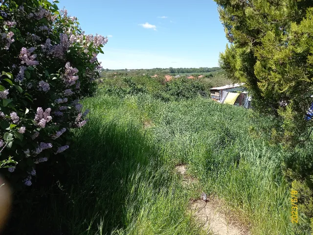 Eladó telek Ecséd 807 nm