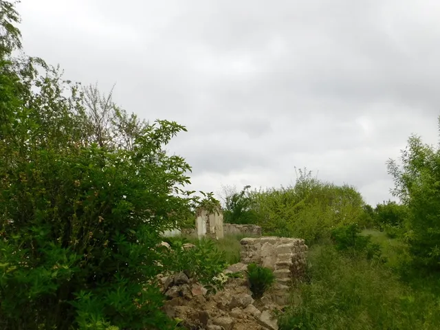 Eladó telek Taktakenéz, Rákóczi Ferenc utca 20 1450 nm