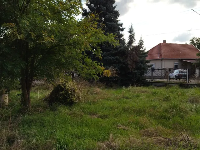 Eladó telek Elek, Erkel Ferenc utca 22 775 nm