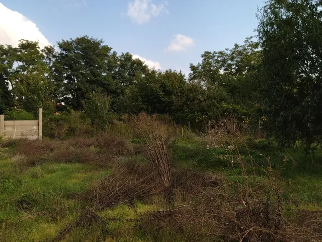 Eladó telek Elek, Erkel Ferenc utca 22 775 nm