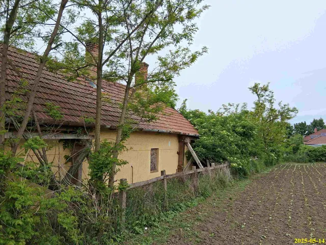 Eladó ház Szorgalmatos, Virág utca 4 83 nm