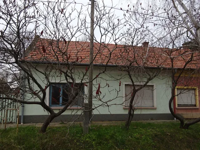 Eladó lakás Orosháza, Dózsa György utca 63. 218 nm