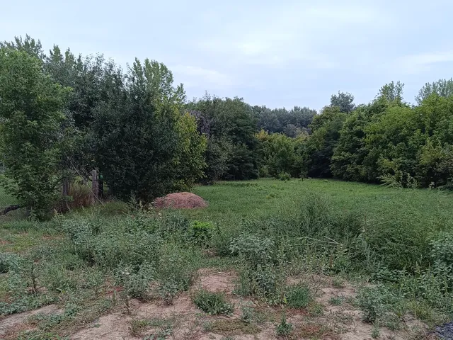 Eladó telek Tiszadada 1390 nm
