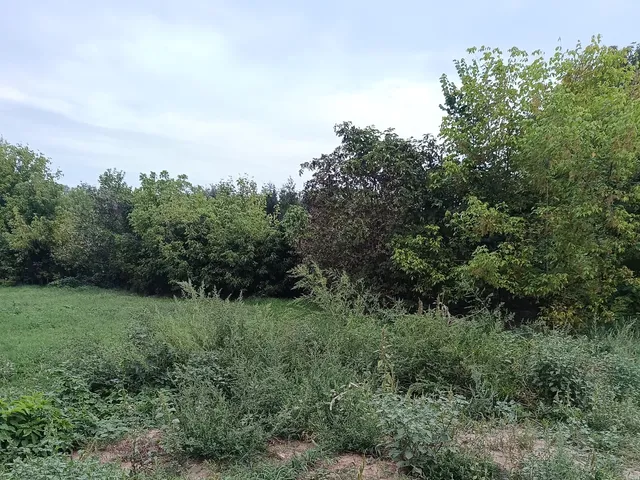 Eladó telek Tiszadada, Vízmű utca 14. 1390 nm