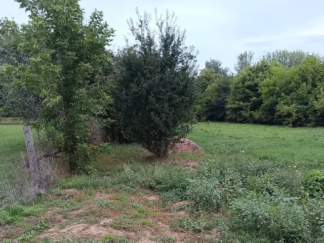 Eladó telek Tiszadada, Vízmű utca 14. 1390 nm