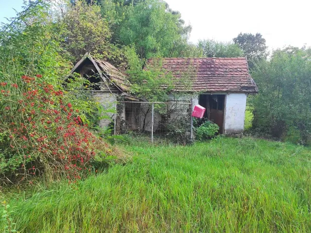 Eladó ház Szarvas, Gyóni Géza utca 33. 2025.09.17 122 nm