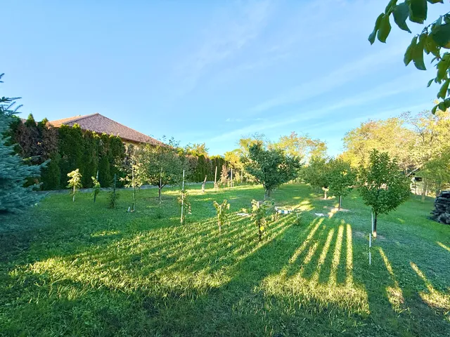 Eladó telek Füle 800 nm