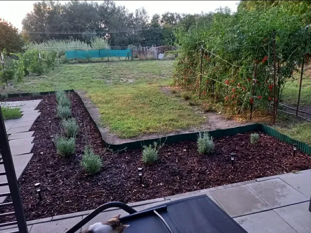 Eladó üdülő és hétvégi ház Szatymaz 8 nm