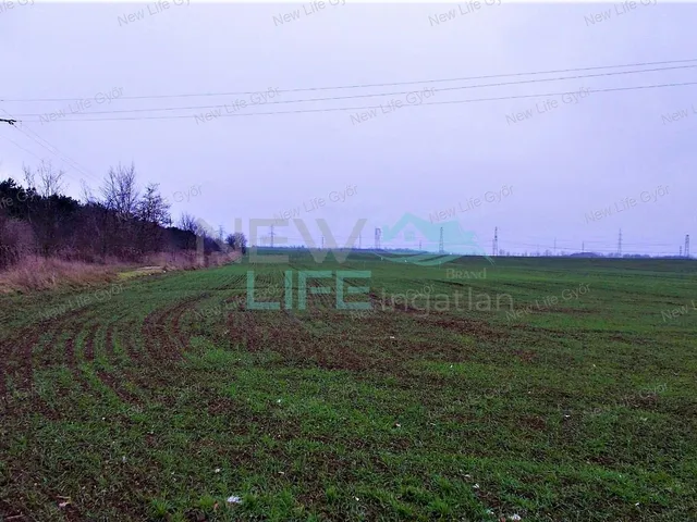 Eladó telek Győr, Szabadhegy 6706 nm