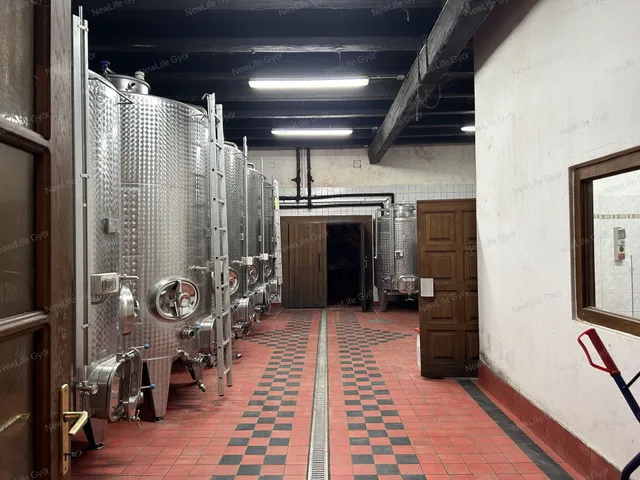 Eladó kereskedelmi és ipari ingatlan Szekszárd 400 nm