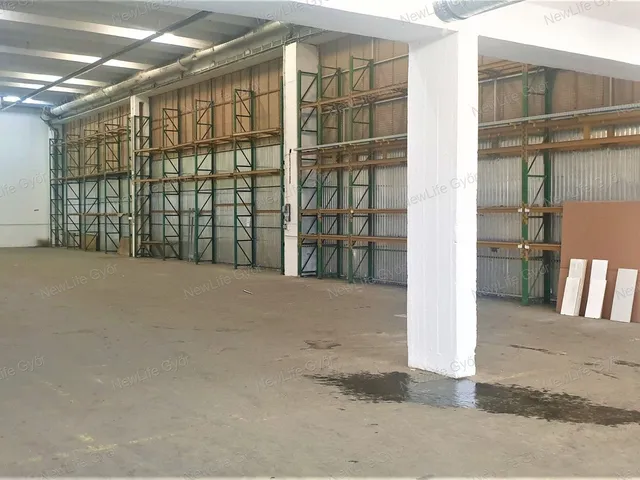 Kiadó kereskedelmi és ipari ingatlan Győr, Szabadhegy 800 nm