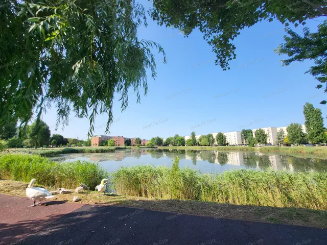 Eladó lakás Győr, Szabadhegy 55 nm