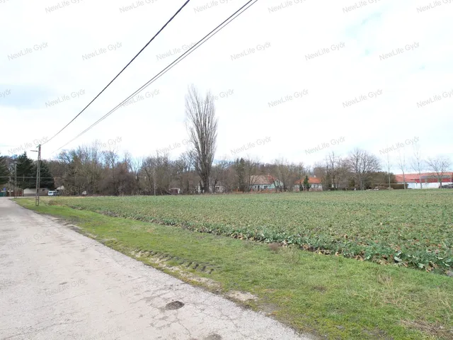 Eladó mezőgazdasági ingatlan Lébény 20418 nm