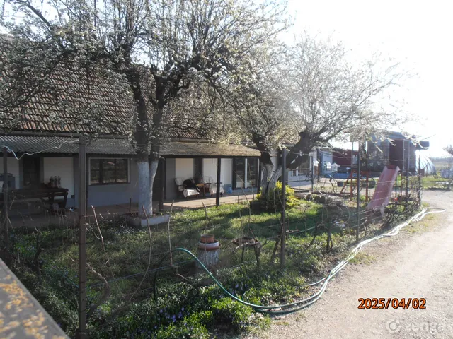 Eladó mezőgazdasági ingatlan Abony 130 nm