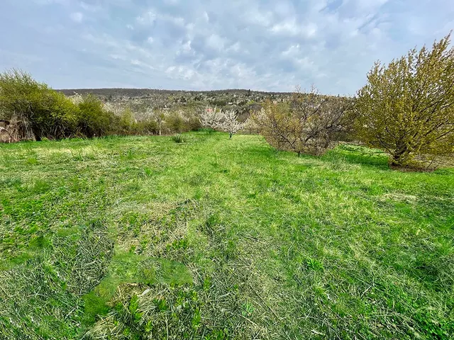 Eladó telek Budaörs 5500 nm