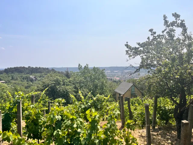 Eladó üdülő és hétvégi ház Budaörs, Frankhegy 30 nm