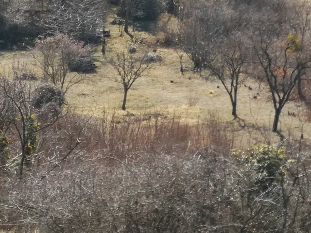 Eladó telek Budaörs, Odvashegy 3318 nm