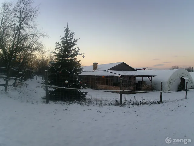 Eladó mezőgazdasági ingatlan Kerepes, Malomkő utca 2 90 nm