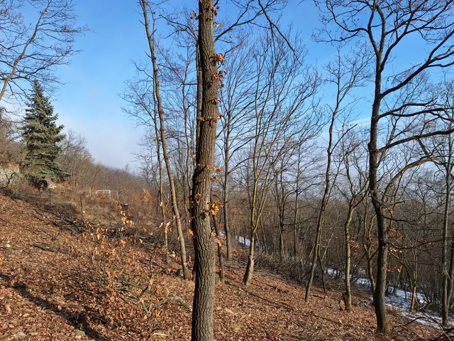 Eladó telek Nagymaros 900 nm