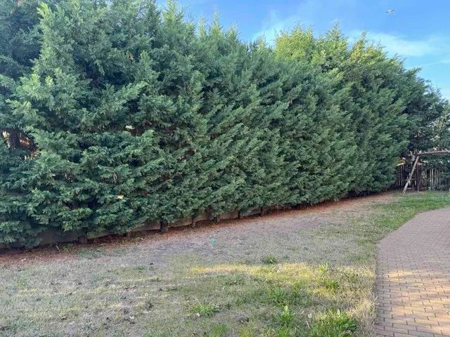 Eladó ház Fót, Öregfalu 120 nm