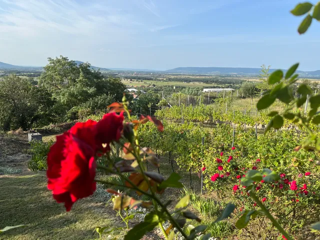 Eladó üdülő és hétvégi ház Zalahaláp 14 nm