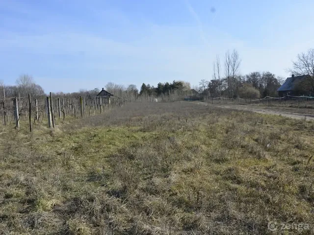 Eladó mezőgazdasági ingatlan Monor, Strázsa'hegy,Csabagyöngye dülő 40 nm