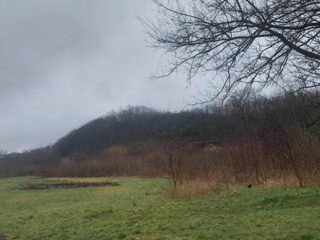 Eladó telek Szőlősgyörök, zártkert 5269 nm