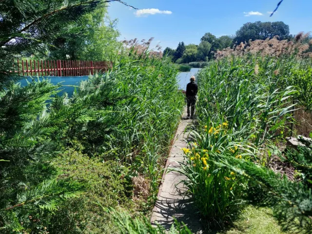 Eladó telek Szigetszentmiklós, Bucka, virág köz 674 nm