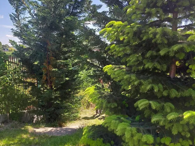 Eladó telek Szigetszentmiklós, Bucka, virág köz 674 nm