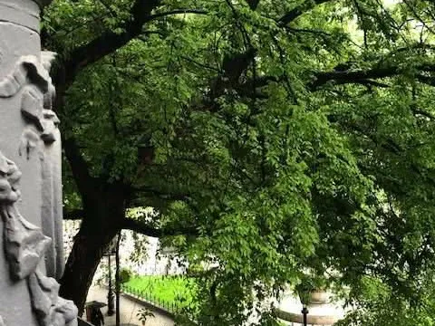 Kiadó lakás Budapest VIII. kerület, Palotanegyed, Baross u  60 nm