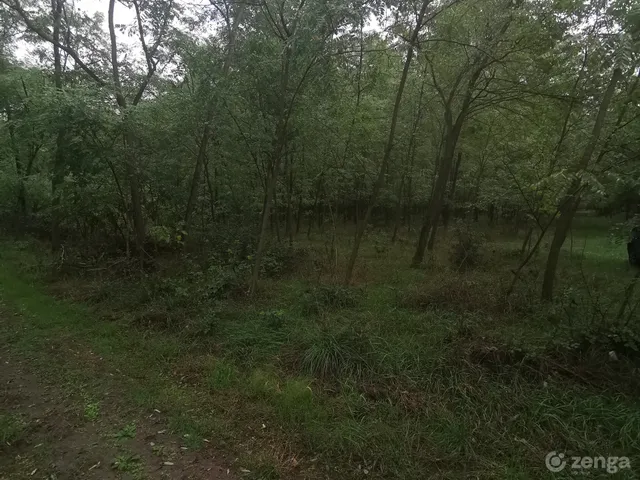 Eladó mezőgazdasági ingatlan Vámospércs 46000 nm