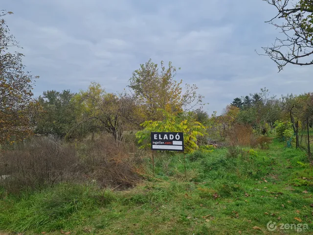 Eladó mezőgazdasági ingatlan Hatvan, Nagygombos, Szőlőskert sor 795 nm