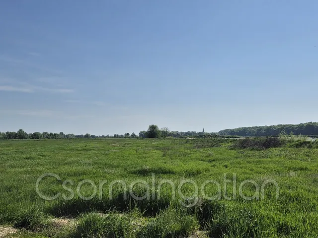 Eladó mezőgazdasági ingatlan Babót 16905 nm