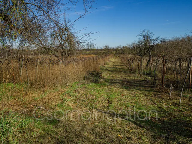 Eladó telek Mórichida 3900 nm